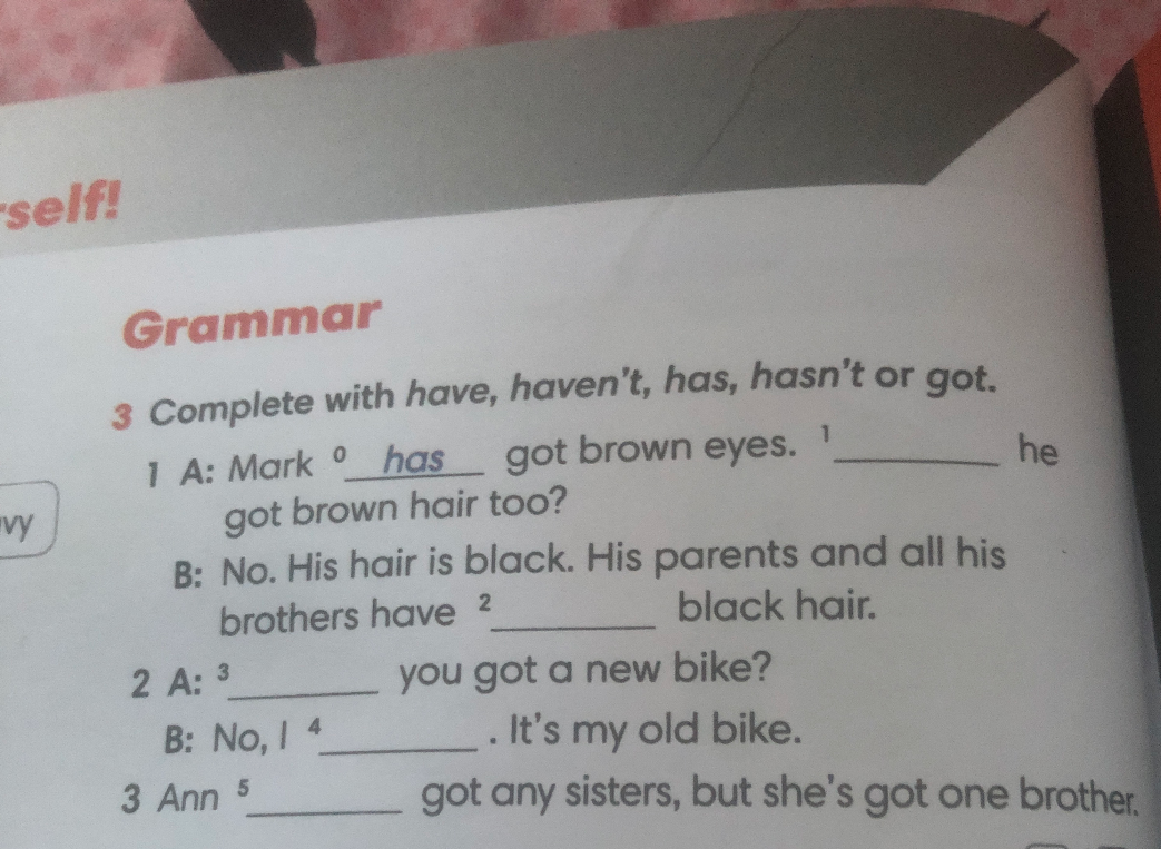 Complete with have, haven't, has, hasn't or got.
