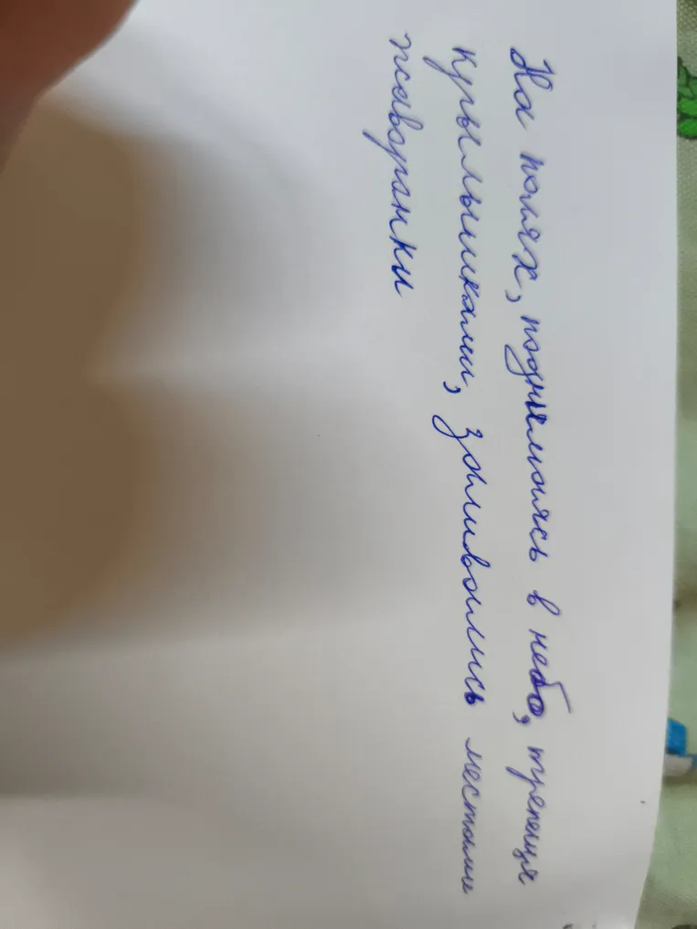 Сделайте синтаксический разбор предложения: На полях, поднявшихся в небо, трепеща крылышками, заливались песнями жаворонки