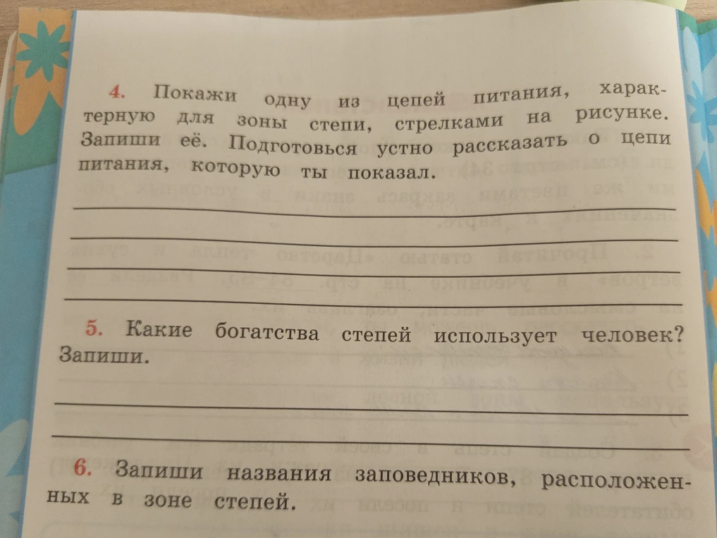 Покажи одну из цепей питания, характерную для зоны степи, стрелками на рисунке. Запиши её.