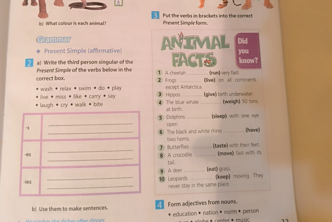 Put the verbs in brackets into the correct Present Simple form ...