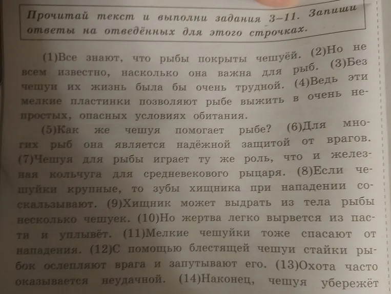 Выпиши из 10-го предложения все имена существительные в той форме, в которой они употреблены в предложении. Укажи род, склонение, число, падеж одной из форм имени существительного (на выбор).