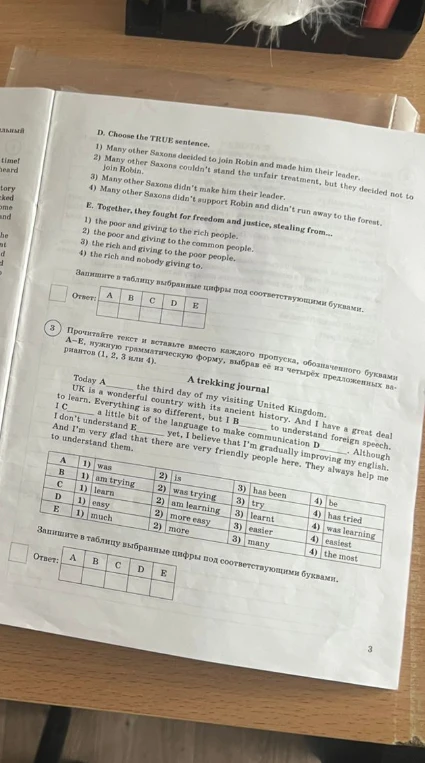 D. Choose the TRUE sentence. E. Together, they fought for freedom and justice, stealing from... 3. Прочитайте текст и вставьте вместо каждого пропуска, обозначенного буквами А–Е, нужную грамматическую форму.