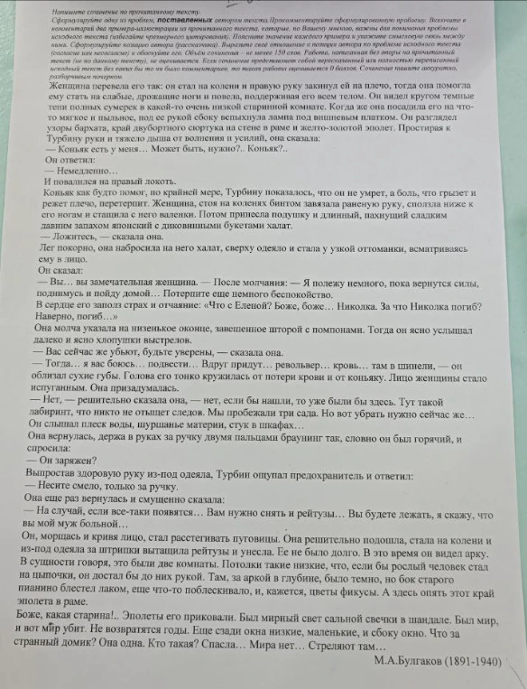 Напишите сочинение по прочитанному тексту. Сформулируйте одну из проблем, поставленных автором текста.