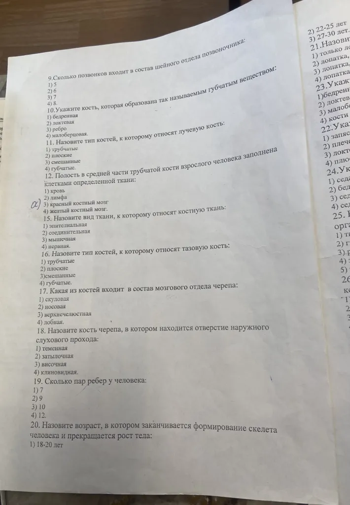 Сколько позвонков входит в состав шейного отдела позвоночника?