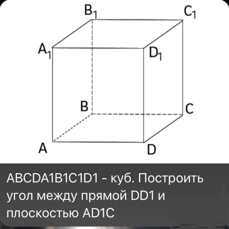 ABCDA1B1C1D1 - куб. Построить угол между прямой DD1 и плоскостью AD1C