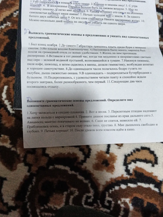 Выпишите грамматические основы предложений. Определите вид односоставных предложений.