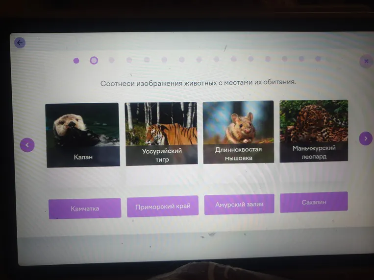 Соотнеси изображения животных с местами их обитания.