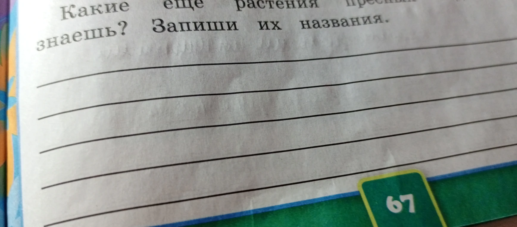 Какие еще растения пресных водоёмов ты знаешь? Запиши их названия.