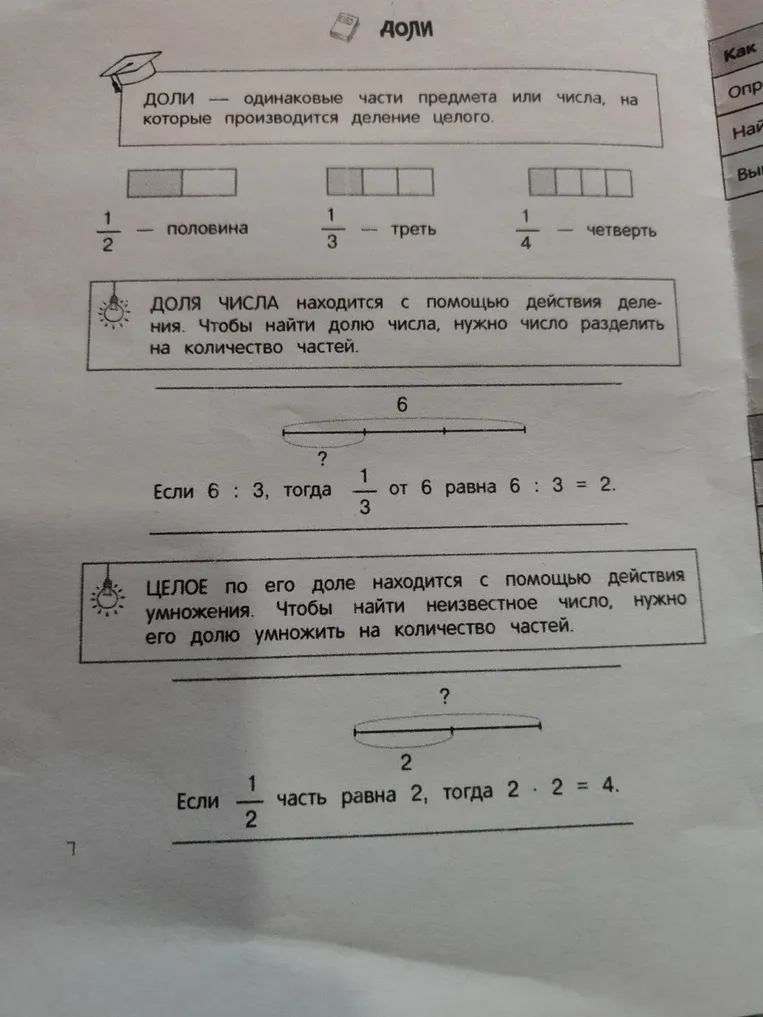 Доли — одинаковые части предмета или числа, на которые производится деление целого.