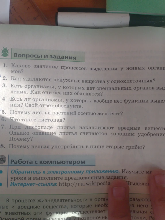 Каково значение процессов выделения у живых организмов?