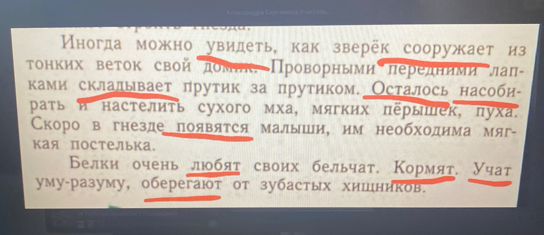 Прочитай текст. Выпиши глаголы определи вид и форму времени. Отметь части слова, которые образовали формы времени. Отдельно запиши глаголы в начальной форме, отметь основы и суффиксы начальной формы.