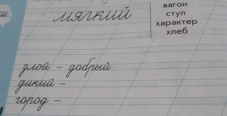 Подберите антонимы к словам: злой — добрый, дикий — ..., город — ...