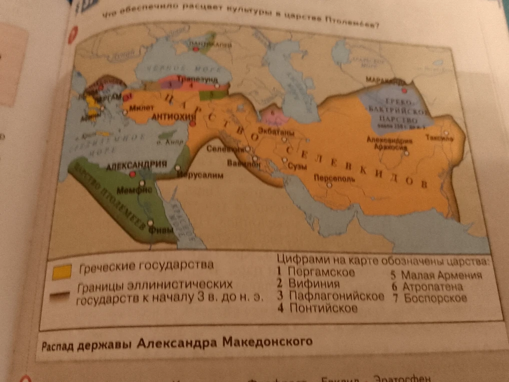 Что обеспечило расцвет культуры в царстве Птолемеев?