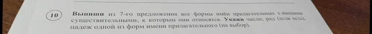 Выпиши из 7-го предложения все формы имён прилагательных с именами существительными, к которым они относятся. Укажи число, род (если есть), падеж одной из форм имени прилагательного (на выбор).