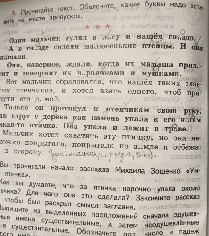 Прочитайте текст. Объясните, какие буквы надо вставить на месте пропусков. Выпишите из выделенных предложений сначала одушевлённые имена существительные, а затем неодушевлённые имена существительные.