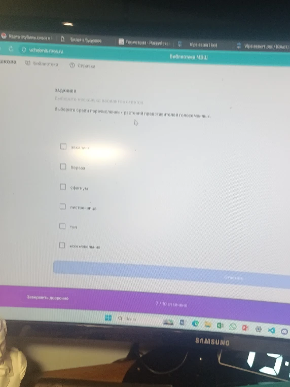 Выберите среди перечисленных растений представителей голосеменных.
