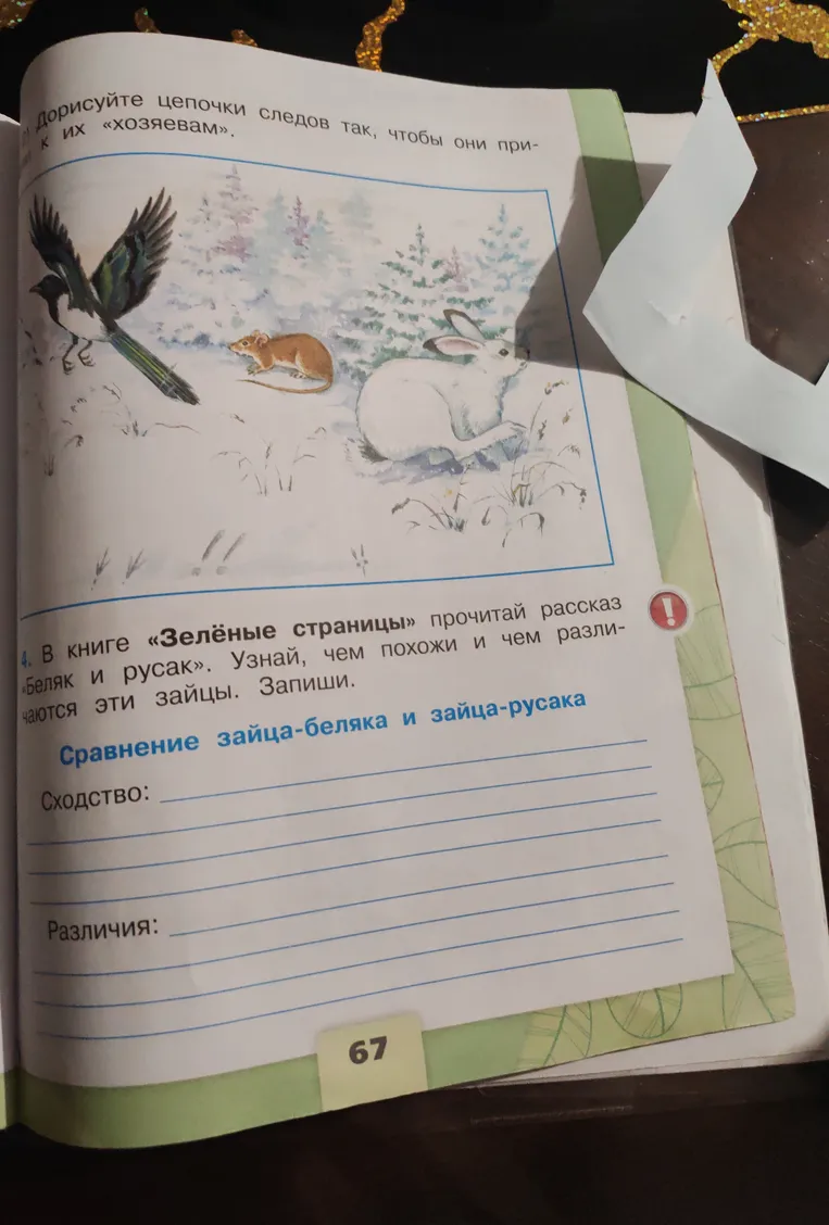 В книге «Зелёные страницы» прочитай рассказ «Беляк и русак». Узнай, чем похожи и чем различаются эти зайцы. Запиши.