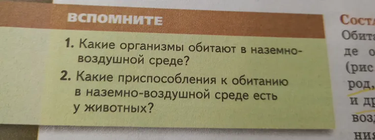 Какие организмы обитают в наземно-воздушной среде?