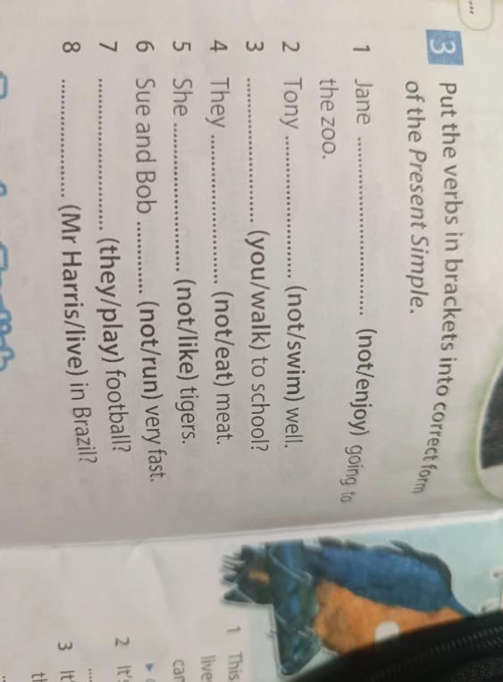 Put the verbs in brackets into correct form of the Present Simple.