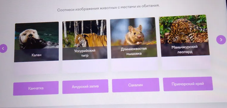 Соотнеси изображения животных с местами их обитания.
