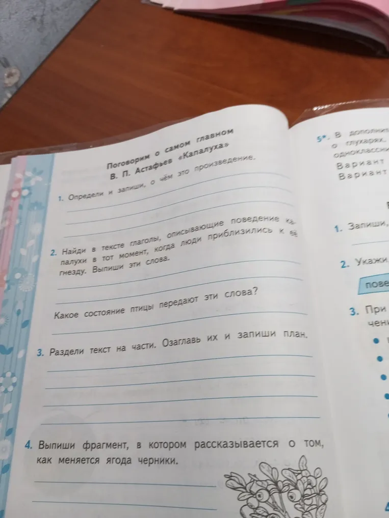 Определи и запиши, о чём это произведение (В. П. Астафьев «Капалуха»)