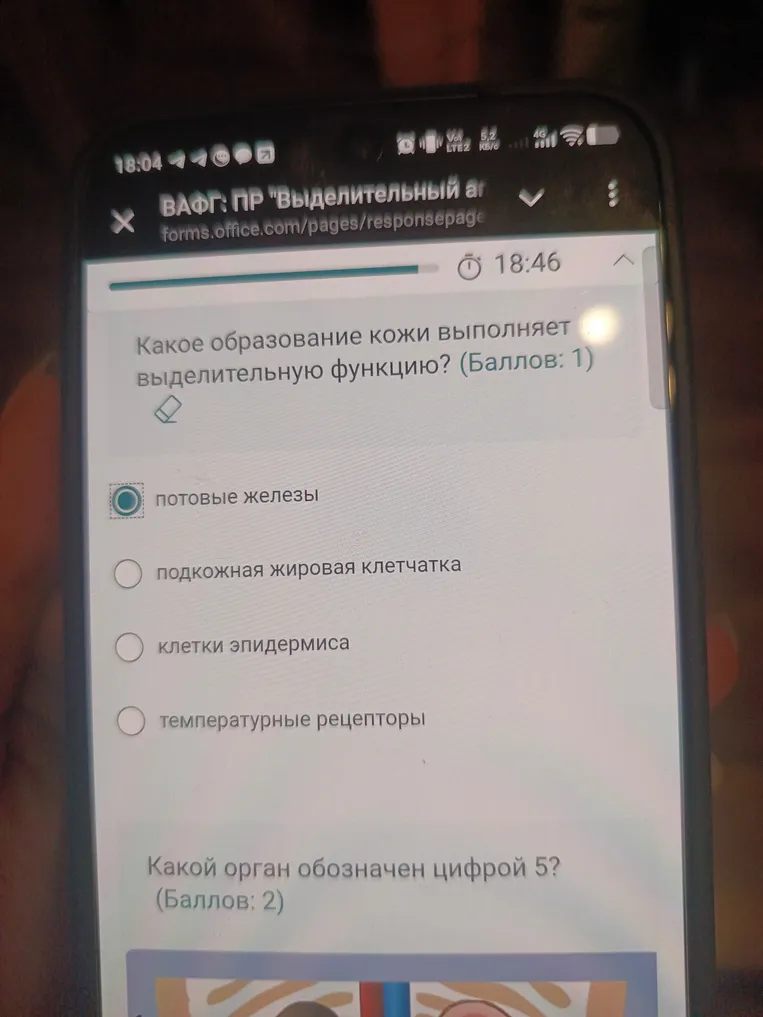 Какое образование кожи выполняет выделительную функцию?