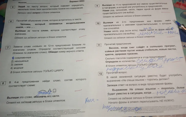 Задай по тексту вопрос, который поможет определить, насколько точно твои одноклассники поняли его содержание.