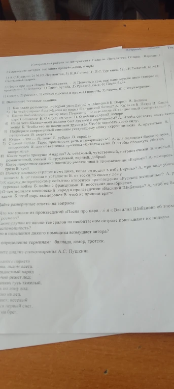 Контрольная работа по литературе в 7 классе. Литература 19 века. Вариант 1.