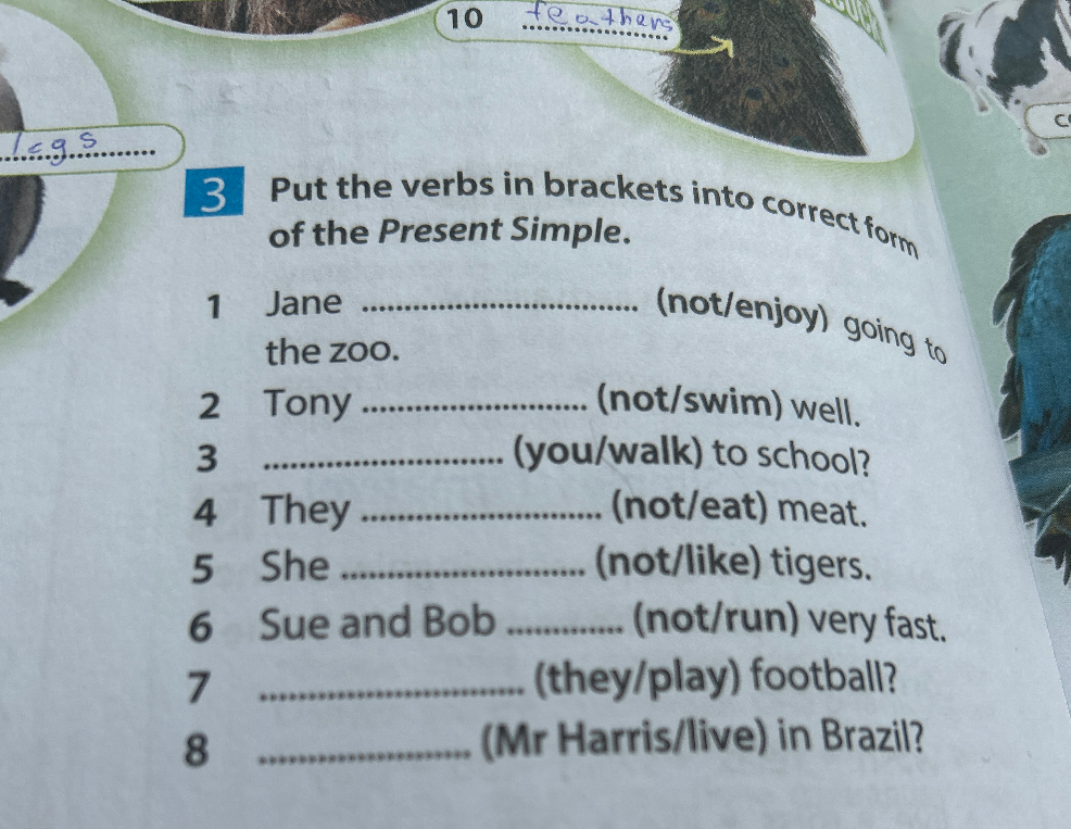 Put the verbs in brackets into correct form of the Present Simple ...