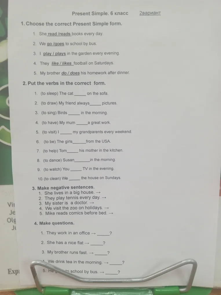 Present Simple. 6 класс. 2 вариант. Choose the correct Present Simple form.