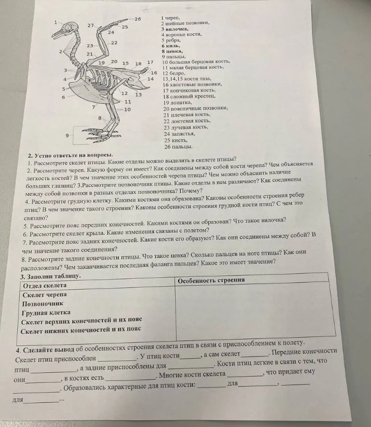 Заполни таблицу. Отдел скелета. Особенность строения. Сделайте вывод об особенностях строения скелета птиц в связи с приспособлением к полету.