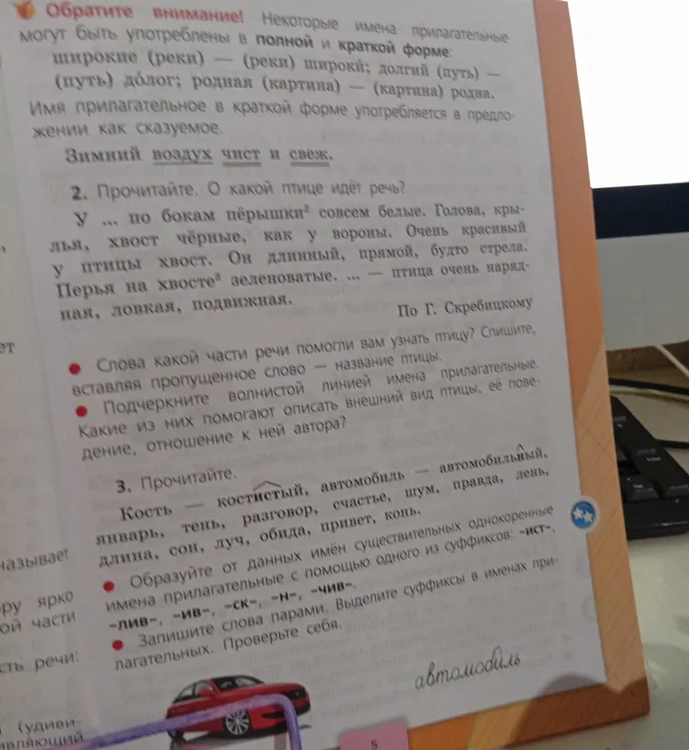 Прочитайте. О какой птице идёт речь? У ... по бокам пёрышки совсем белые.