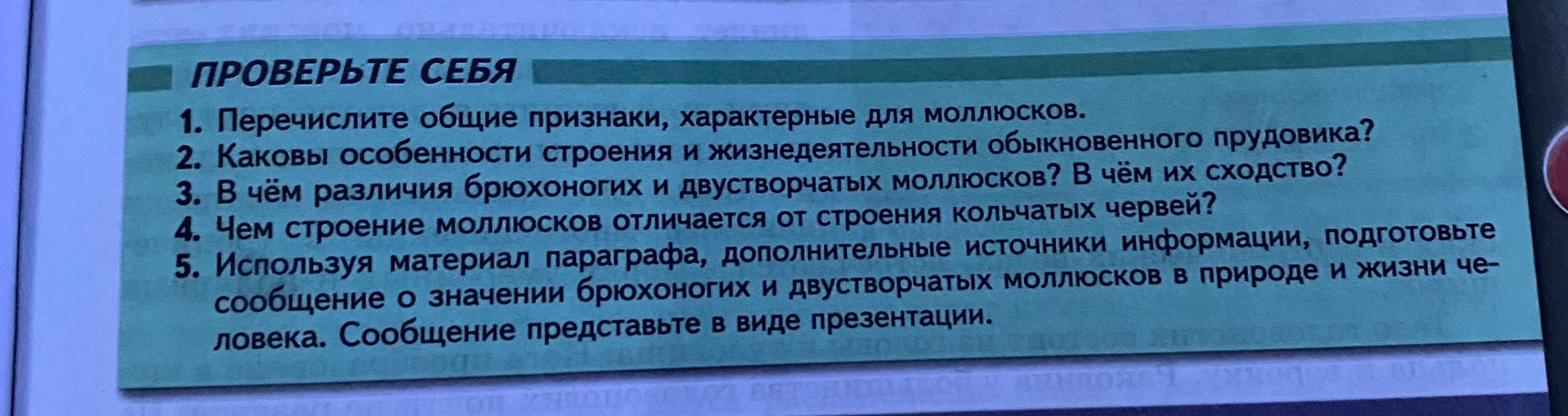 Перечислите общие признаки, характерные для моллюсков.