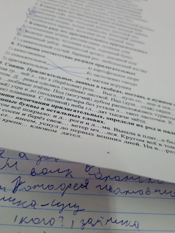 Спиши. Прилагательные, данные в скобках, поставь в нужном падеже.
