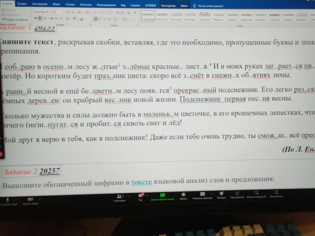 Спишите текст, раскрывая скобки, вставляя, где это необходимо, пропущенные буквы и знаки препинания.