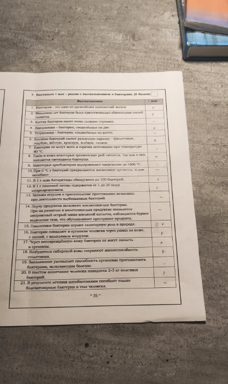 Поставьте + или - рядом с высказыванием о бактериях.
