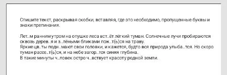 Спишите текст, раскрывая скобки, вставляя, где это необходимо, пропущенные буквы и знаки препинания.