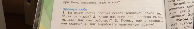 Из каких частей состоит скелет человека? Какое значение он имеет?