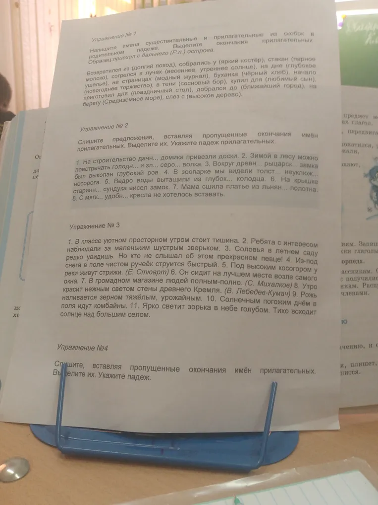 Напишите имена существительные и прилагательные из скобок в родительном падеже. Выделите окончания прилагательных.