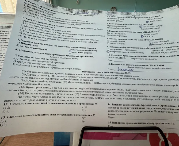 Выполните тестовые задания по русскому языку (синтаксис, пунктуация, морфология) и разбор текста.