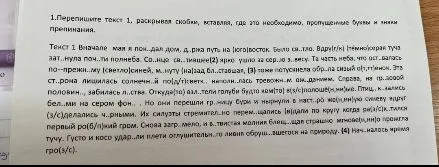 Перепишите текст 1, раскрывая скобки, вставляя, где это необходимо, пропущенные буквы и знаки препинания.