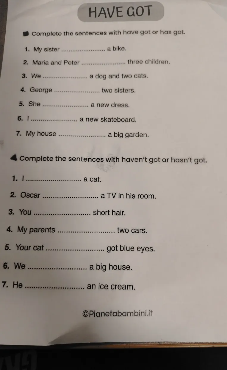 Complete the sentences with have got or has got.