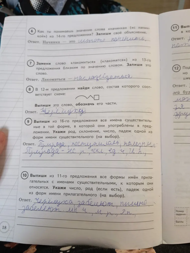 Как ты понимаешь значение слова «начинка» (ес начинкой) из 14-го предложения? Запиши своё объяснение.