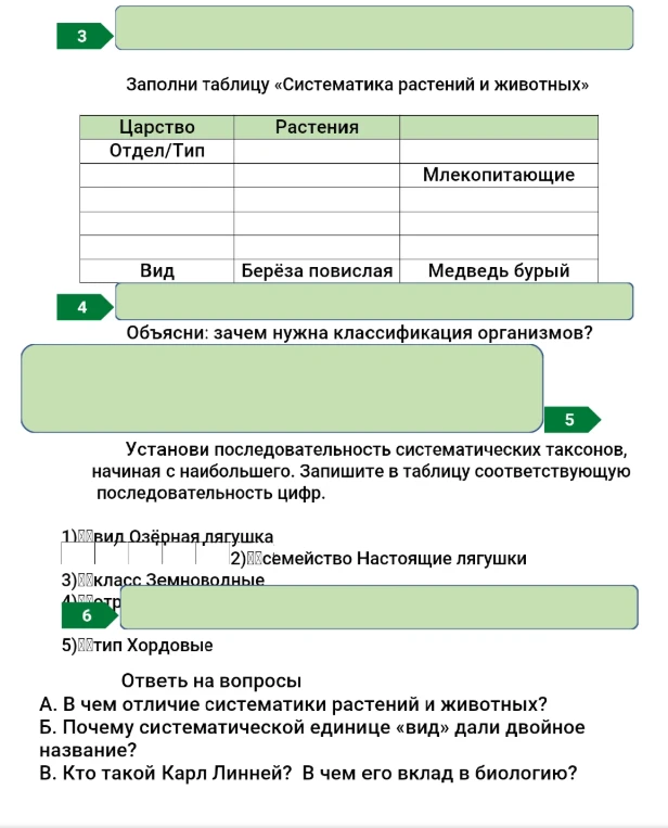 Заполни таблицу «Систематика растений и животных»