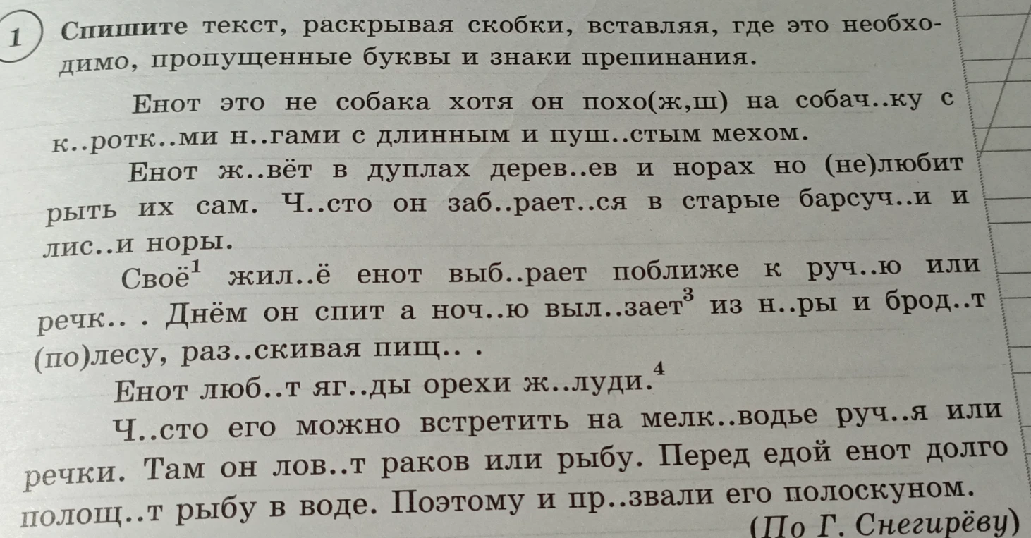 Спишите текст, раскрывая скобки, вставляя, где это необходимо, пропущенные буквы и знаки препинания.