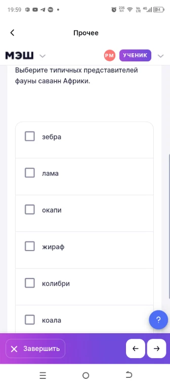 Выберите типичных представителей фауны саванн Африки.