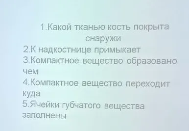 Ответьте на вопросы по строению кости: какой тканью кость покрыта снаружи, к надкостнице примыкает, компактное вещество образовано чем, компактное вещество переходит куда, ячейки губчатого вещества заполнены