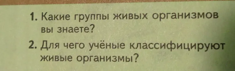 Какие группы живых организмов вы знаете? Для чего учёные классифицируют живые организмы?