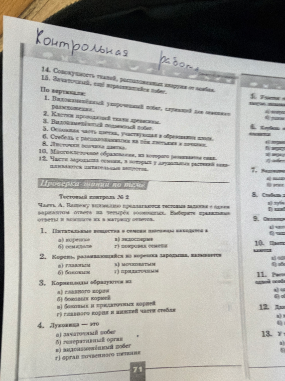 1. Питательные вещества в семени пшеницы находятся в; 2. Корень, развивающийся из корешка зародыша, называется; 3. Корнеплоды образуются из; 4. Луковица — это