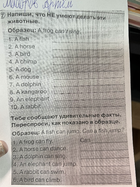 Напиши, что НЕ умеют делать эти животные.